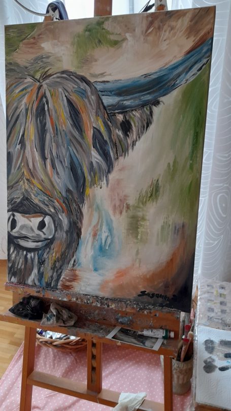 Schottisches Hochlandrind Schottisches Hochlandrind